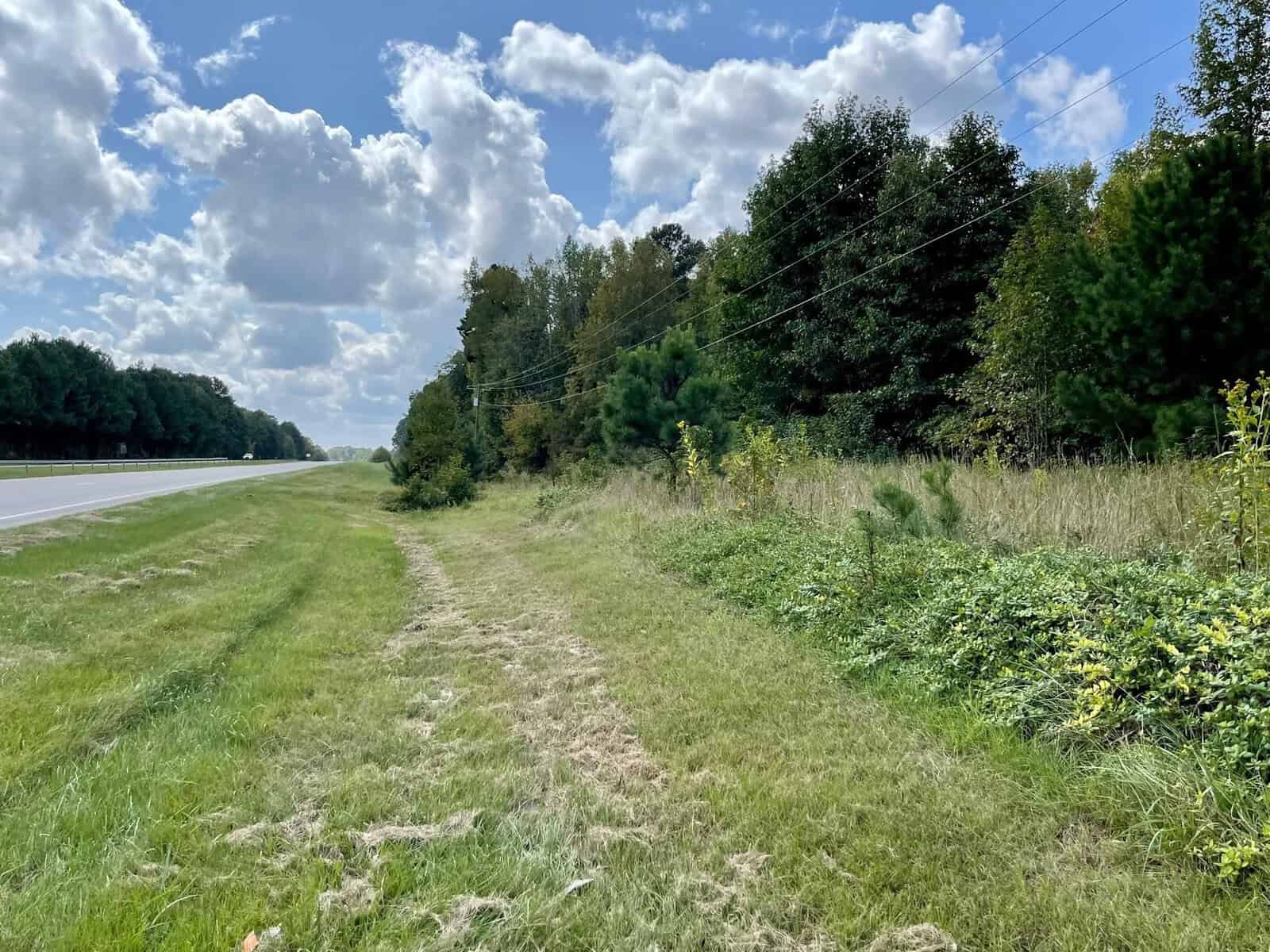 A rural roadside scene with a grassy shoulder and a tree line stretching along the right side. Power lines run parallel to the road, and a mix of deciduous and evergreen trees stand under a partly cloudy sky.