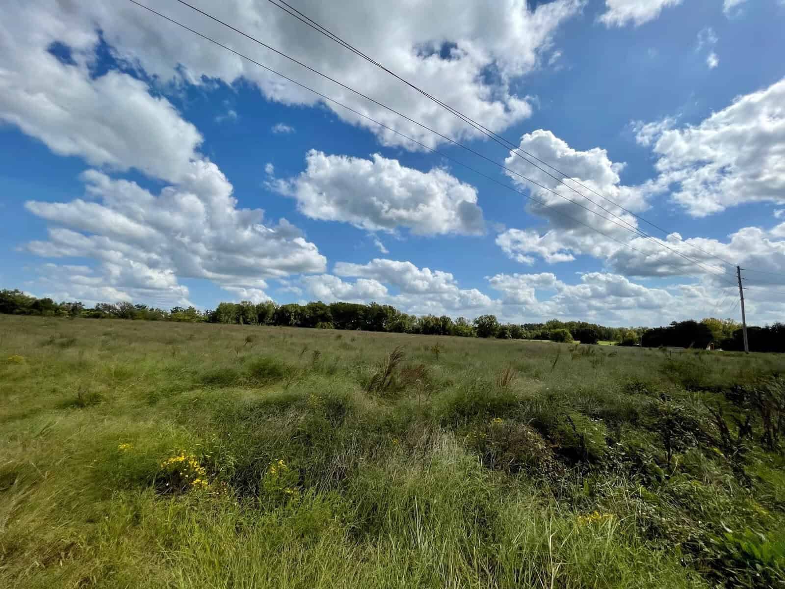 A scenic view of a lush green field under a partly cloudy sky, with power lines stretching across the top of the frame. the horizon shows distant trees and vibrant vegetation in the foreground.