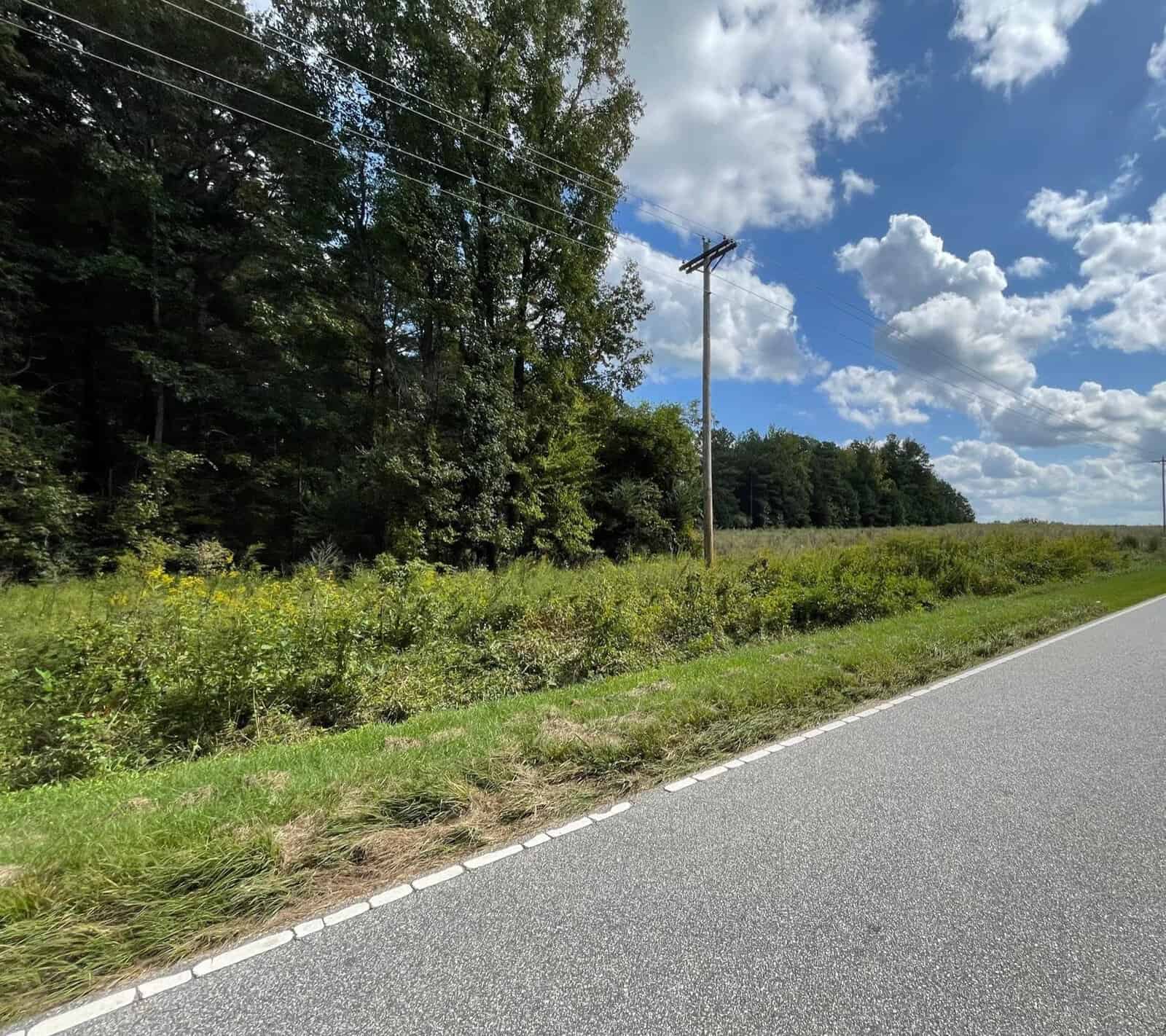 A roadside view under a partly cloudy sky, featuring a vibrant green forest to the left and a field with tall wildflowers and grasses. a power line runs parallel to the road.