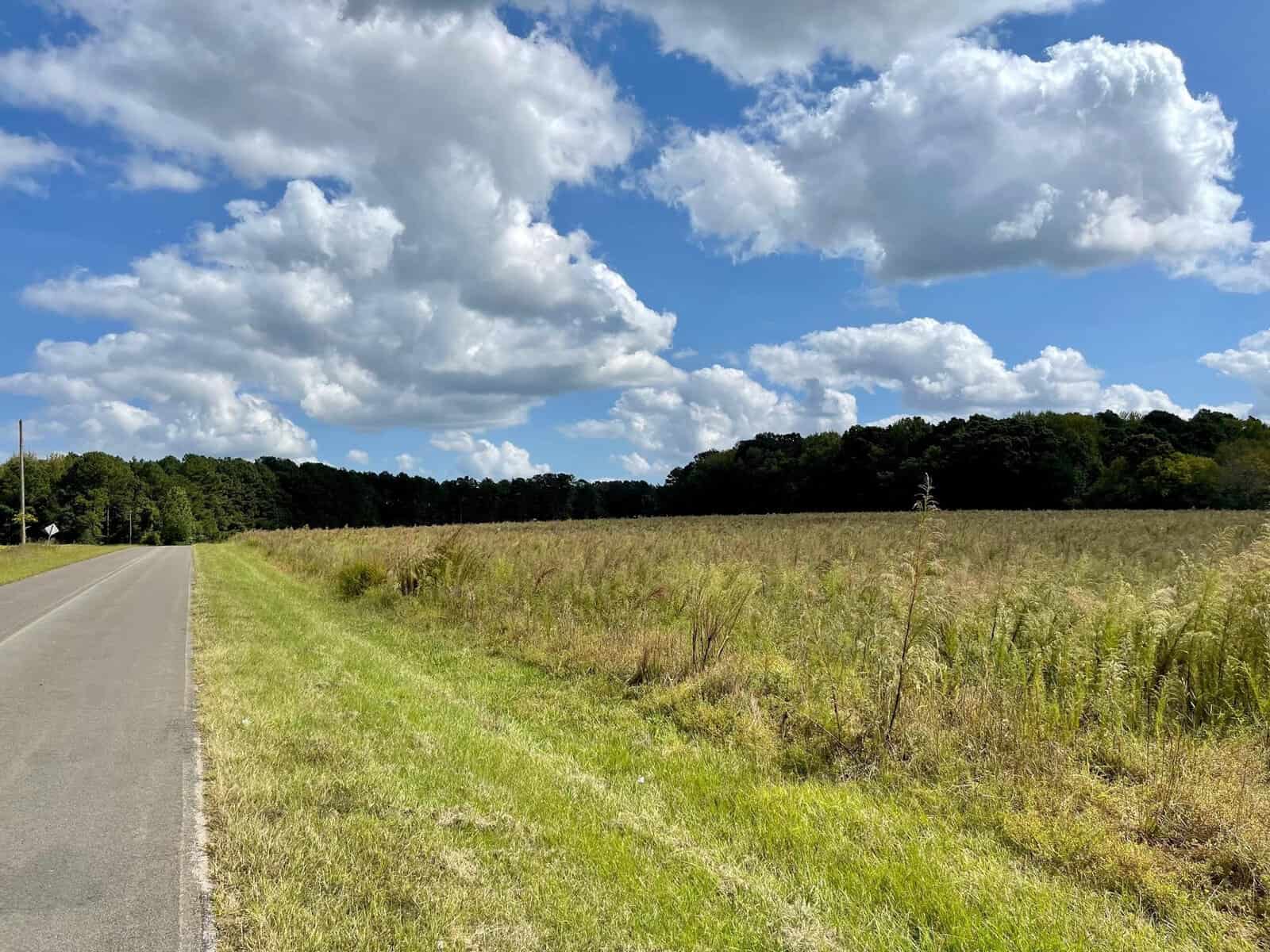 A rural road runs alongside a wide, grassy field under a bright blue sky filled with fluffy white clouds, with a dense line of trees in the distance.