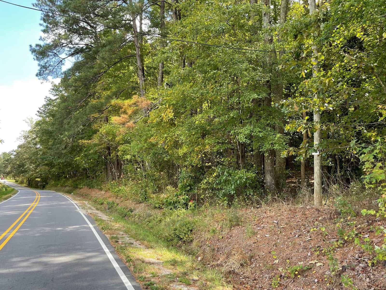 A rural two-lane road curves gently alongside a dense forest. The trees are lush and green, with some showing hints of fall colors. The sky is partly cloudy, and the road is bordered by grass and a few wildflowers on one side.