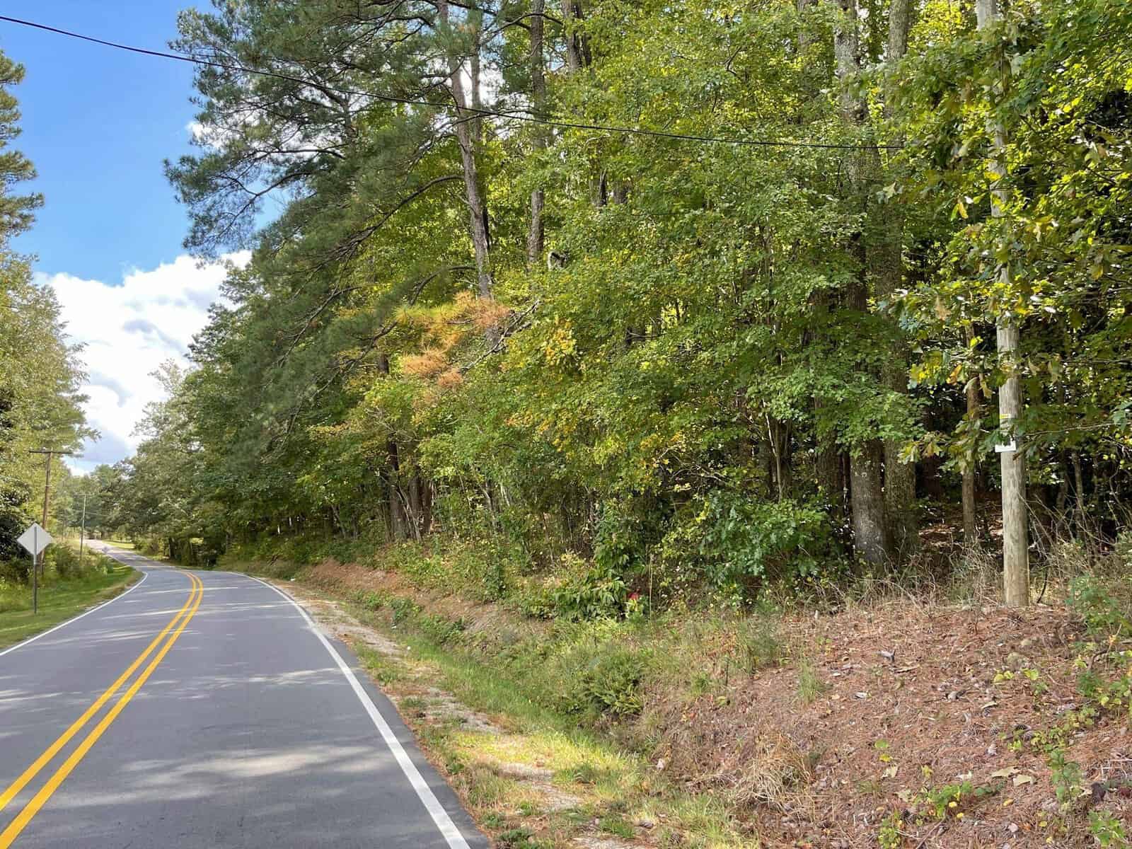 A winding road with yellow lines runs alongside a dense forest. Tall green trees line the right side of the road, while a few clouds are visible in the blue sky above. The scene is bright and inviting, suggesting a peaceful, scenic drive through nature.