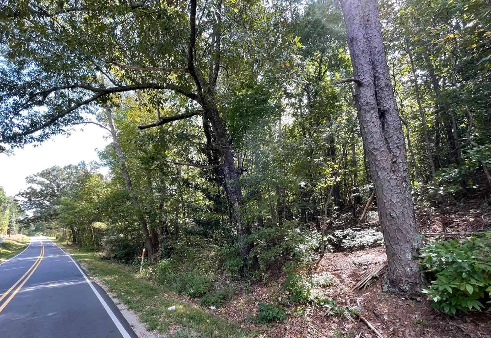 A two-lane road bordered by trees and dense foliage on both sides. Sunlight filters through the leaves, creating dappled light on the road. The scene has a serene and natural atmosphere, with no vehicles or people in sight.
