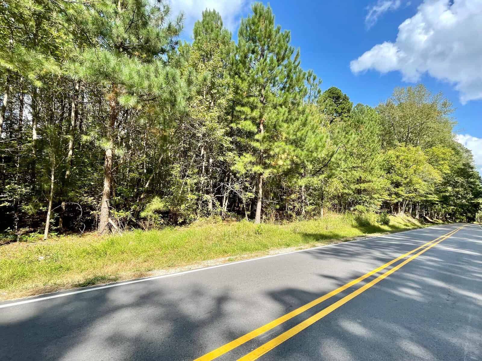 A paved road with yellow double lines runs alongside a dense forest with tall green trees at 05 Kittrell Road. The sky above is bright blue with scattered white clouds, casting shadows on the road and greenery.