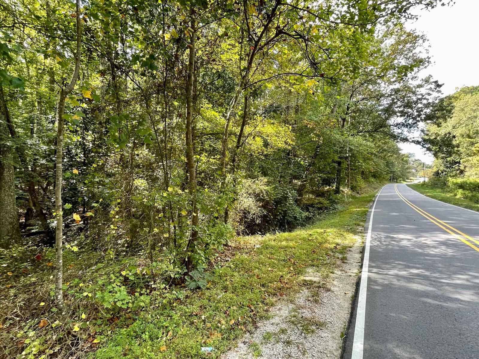 A winding country road bordered by dense, green forest on a sunny day. The narrow road, with a yellow center line and no sidewalks, curves gently to the right. Sunlight filters through the tree canopy, casting dappled shadows on the ground.