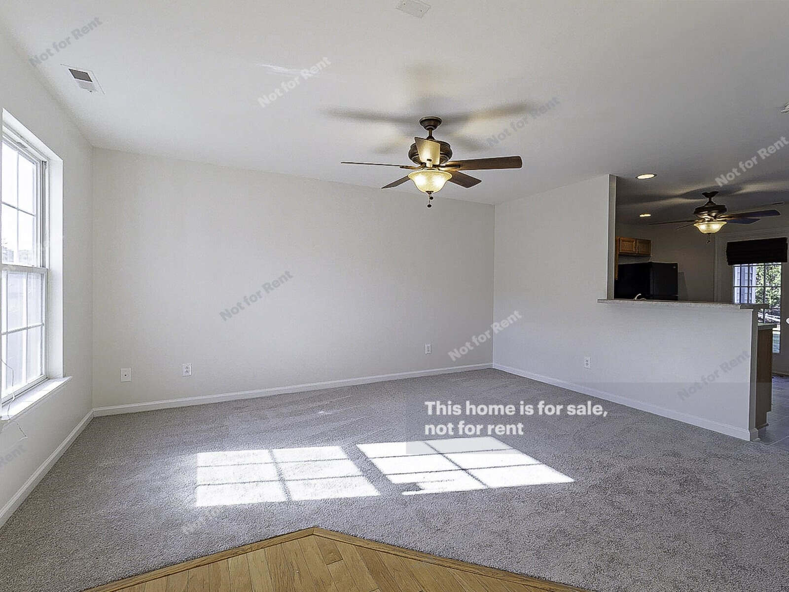 A bright, empty living room with beige carpet, a ceiling fan, and white walls. Large windows let in natural light. A partial wall separates the kitchen area, which has visible cabinets and an additional pendant light.