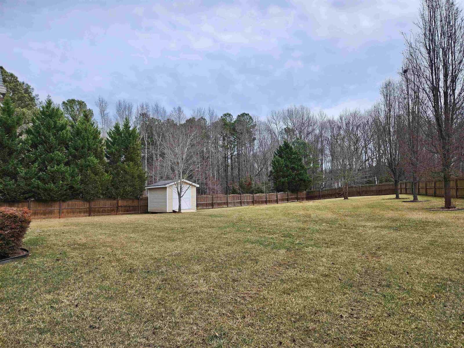 A large grassy backyard with a small white shed in the center, surrounded by a wooden fence and trees. The sky is overcast, and the area is tranquil and spacious.