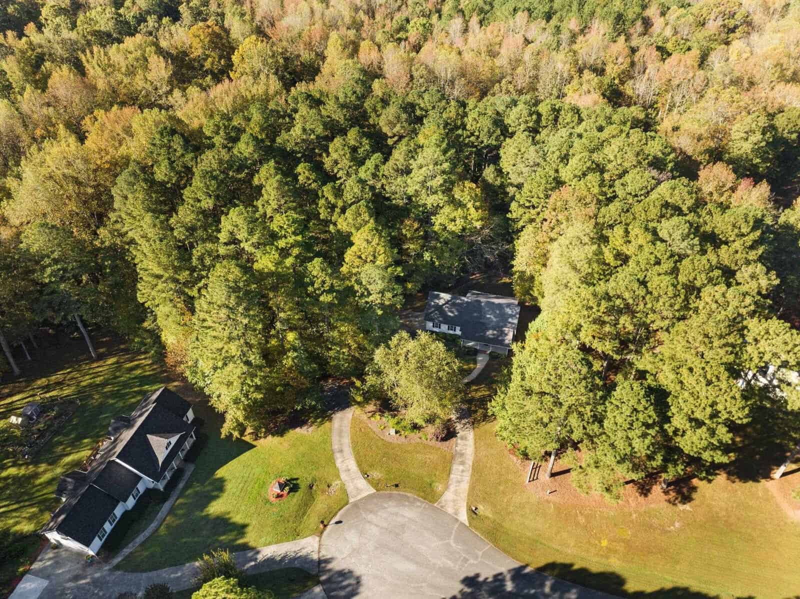 Aerial view of a wooded area with two houses. The houses are surrounded by dense trees and a winding driveway connects them. The landscape is lush and green, with a mix of autumn foliage.