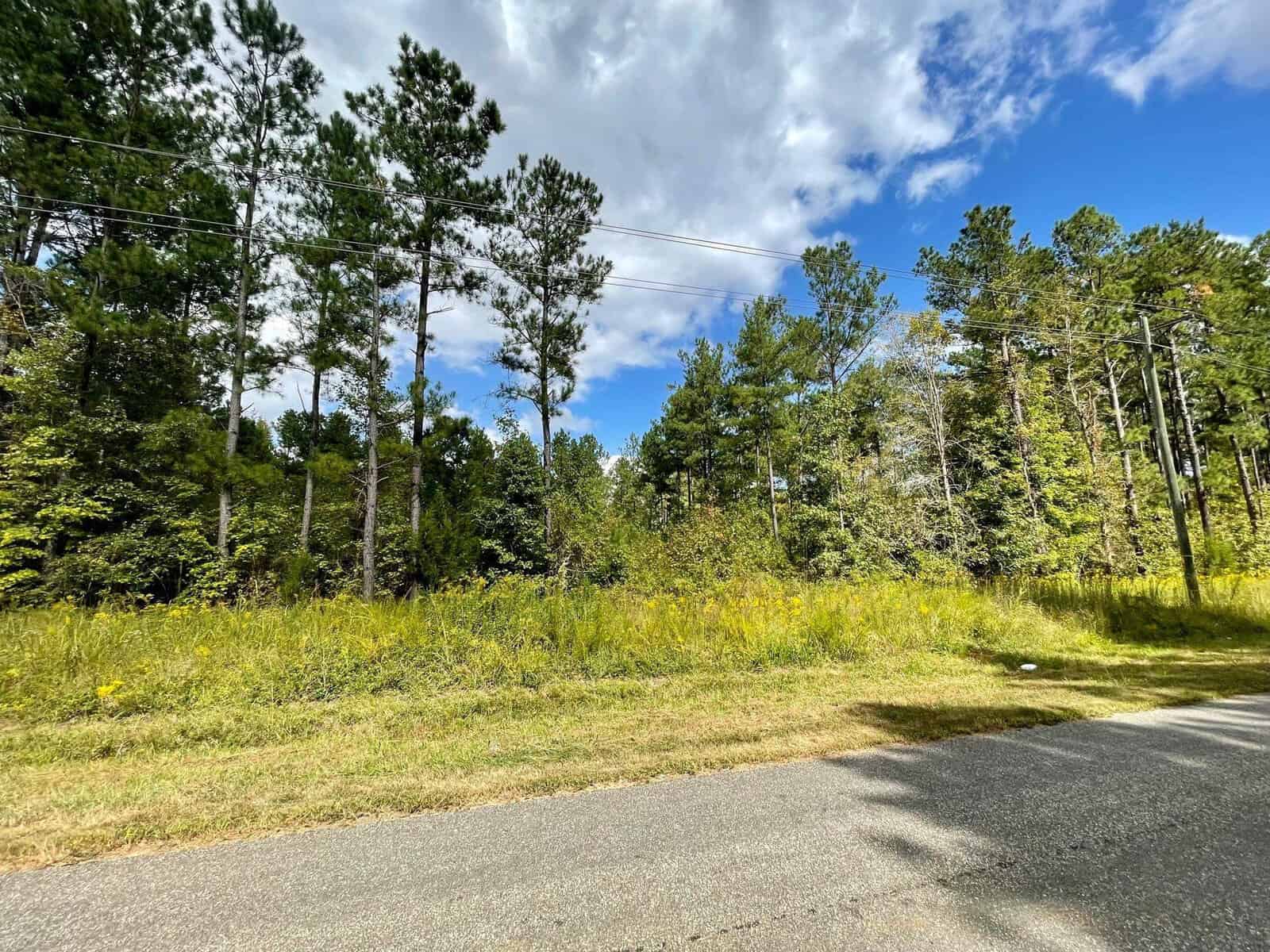A scenic view of a rural area featuring a paved road bordering a dense forest with tall trees and green foliage. The sky above is partly cloudy with patches of blue, casting a mix of shadows and sunlight on the scene.