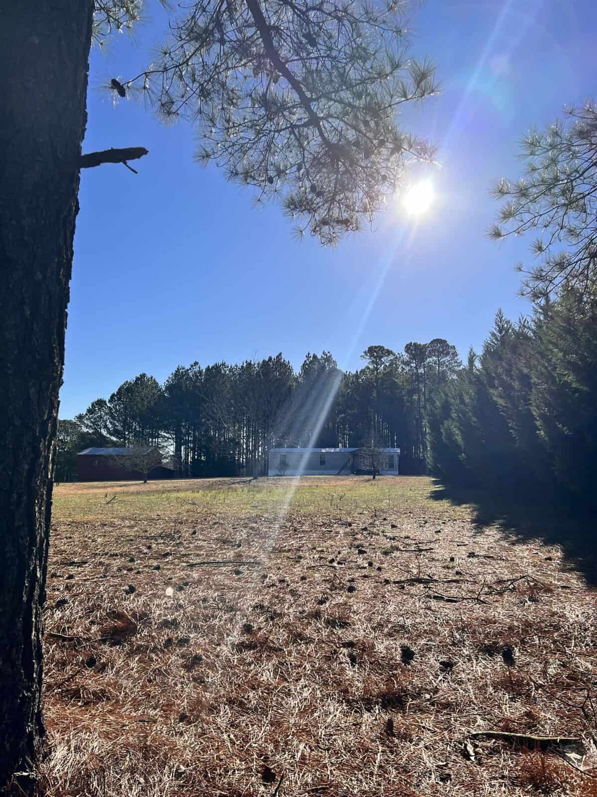 A serene landscape with a tree in the foreground, a sunlit field, and a distant house surrounded by trees under a blue sky. Sunlight creates a visible ray across the field.