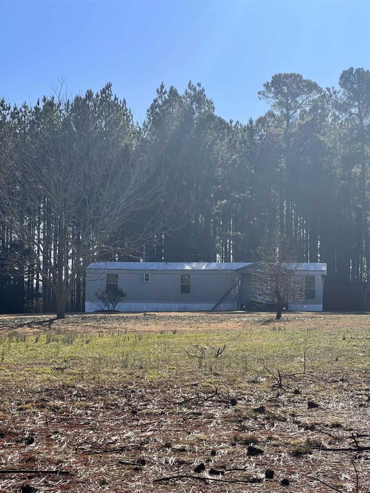 A small, white mobile home sits in a clearing surrounded by tall pine trees under a clear blue sky. The foreground features a dry, grassy area with scattered twigs and branches.