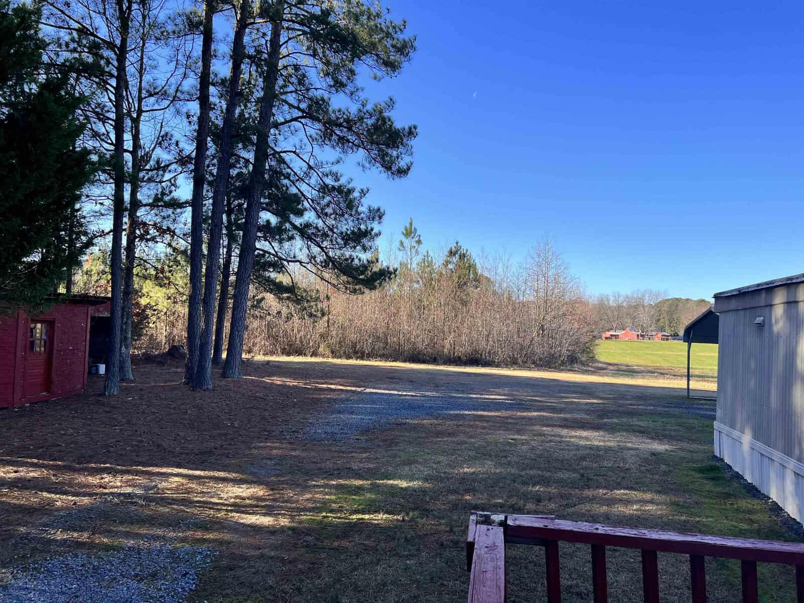 A sunny rural scene with tall pine trees bordering an open grassy area. A small red shed is nestled among the trees. In the background, a field stretches towards trees, and a tractor is visible near the horizon. A structure is partially visible on the right.