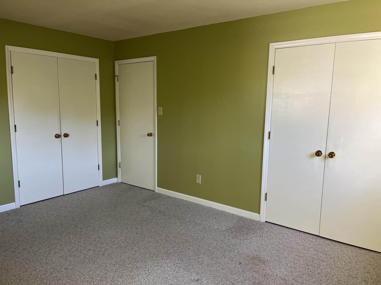 Empty room with light green walls and beige carpet. There are two white closet doors on the left and a white door on the opposite wall, all with brass handles. The room is well-lit from natural light.