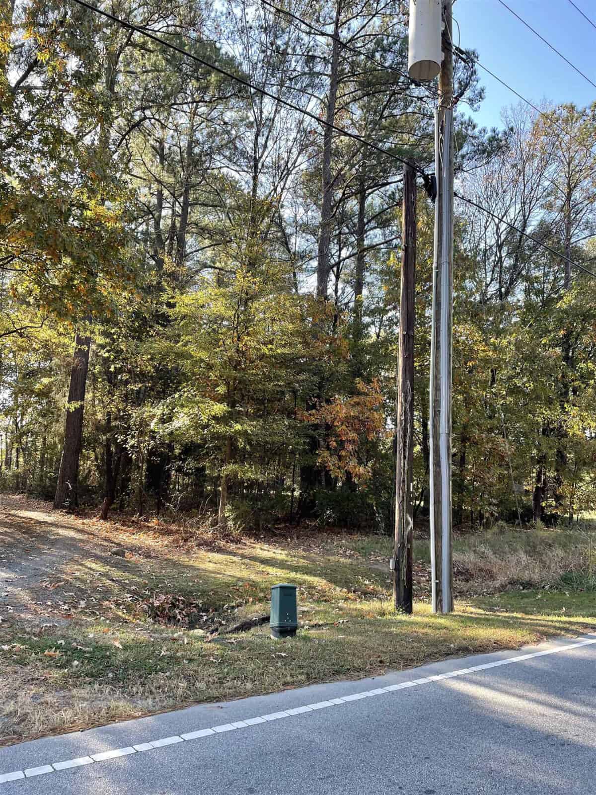 A grassy area beside a road with tall trees in the background. A utility pole and a green electrical box are visible, as well as fallen leaves on the ground, indicating an autumn setting.
