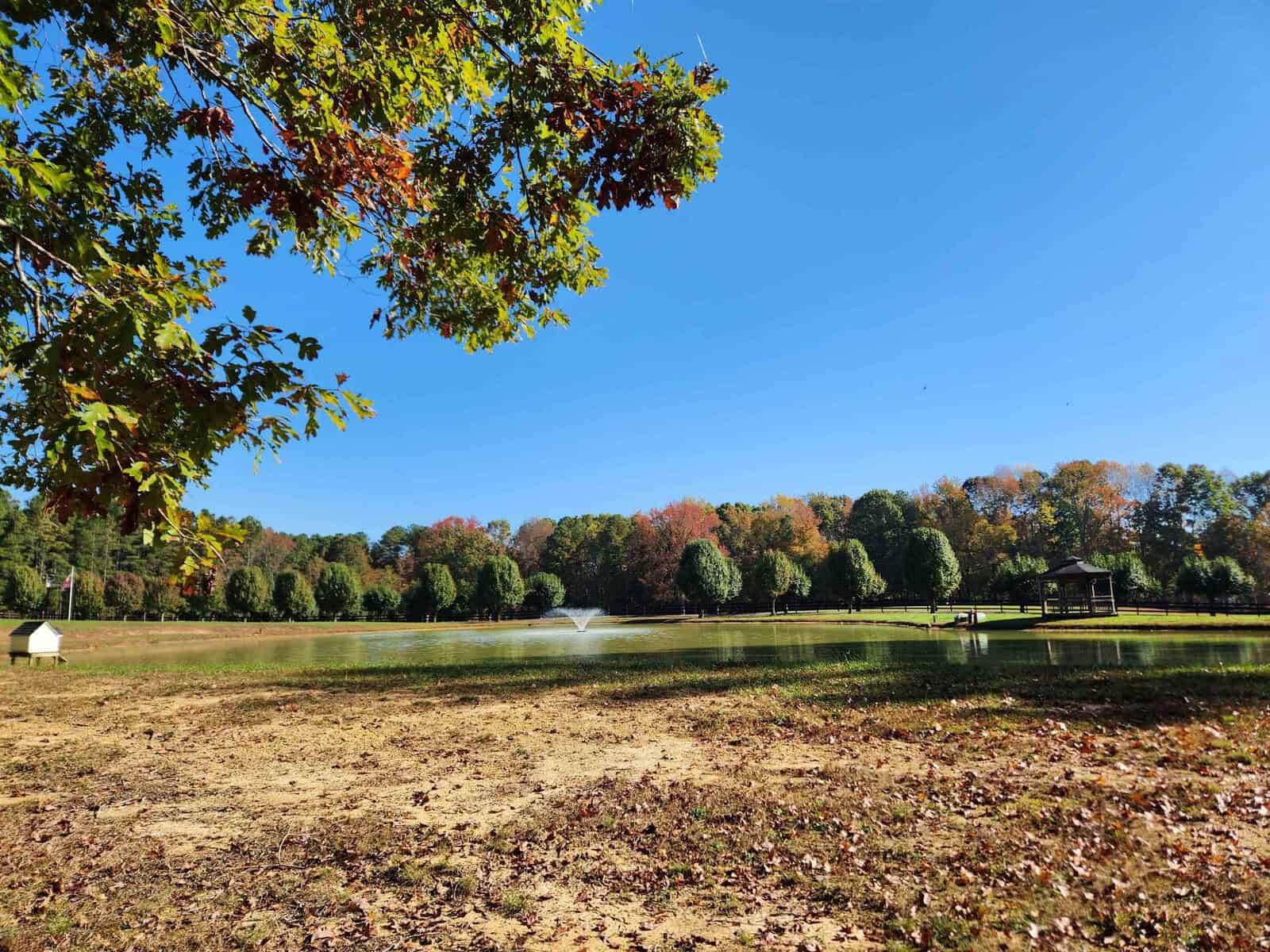 A serene park scene with a small lake featuring a central fountain. Surrounding trees display autumn colors under a clear blue sky. A gazebo is visible on the far right, and the ground is scattered with fallen leaves.