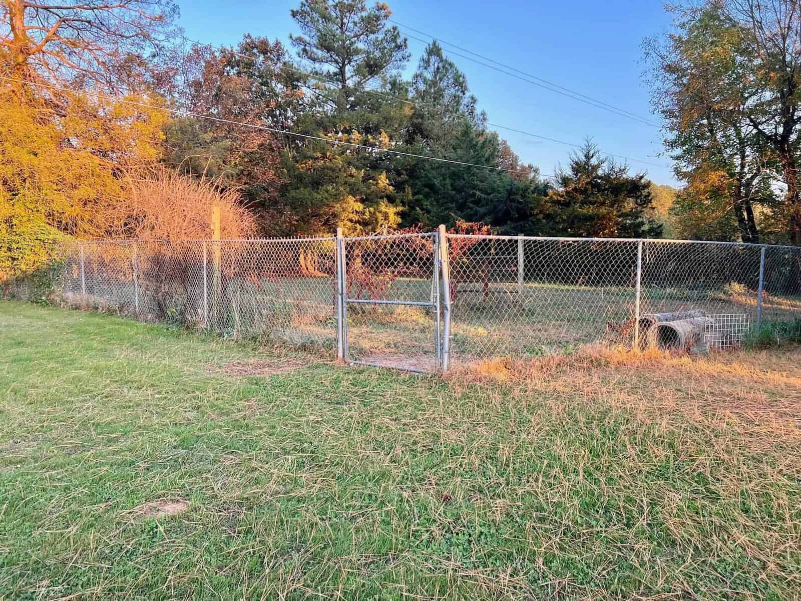A chain-link fence on a grassy field with trees exhibiting autumn colors in the background at dusk.