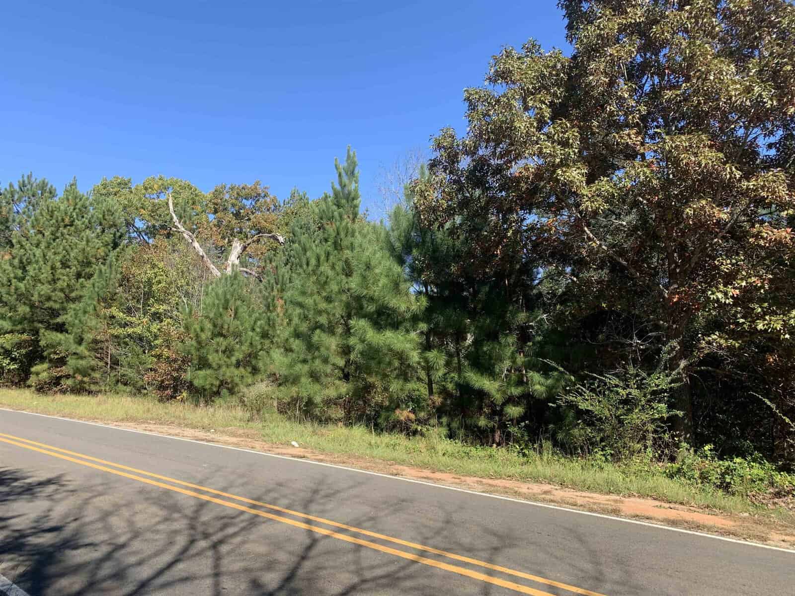 A paved road runs alongside a dense forest on a clear day near 755 Southerland Mill Road, Henderson NC.