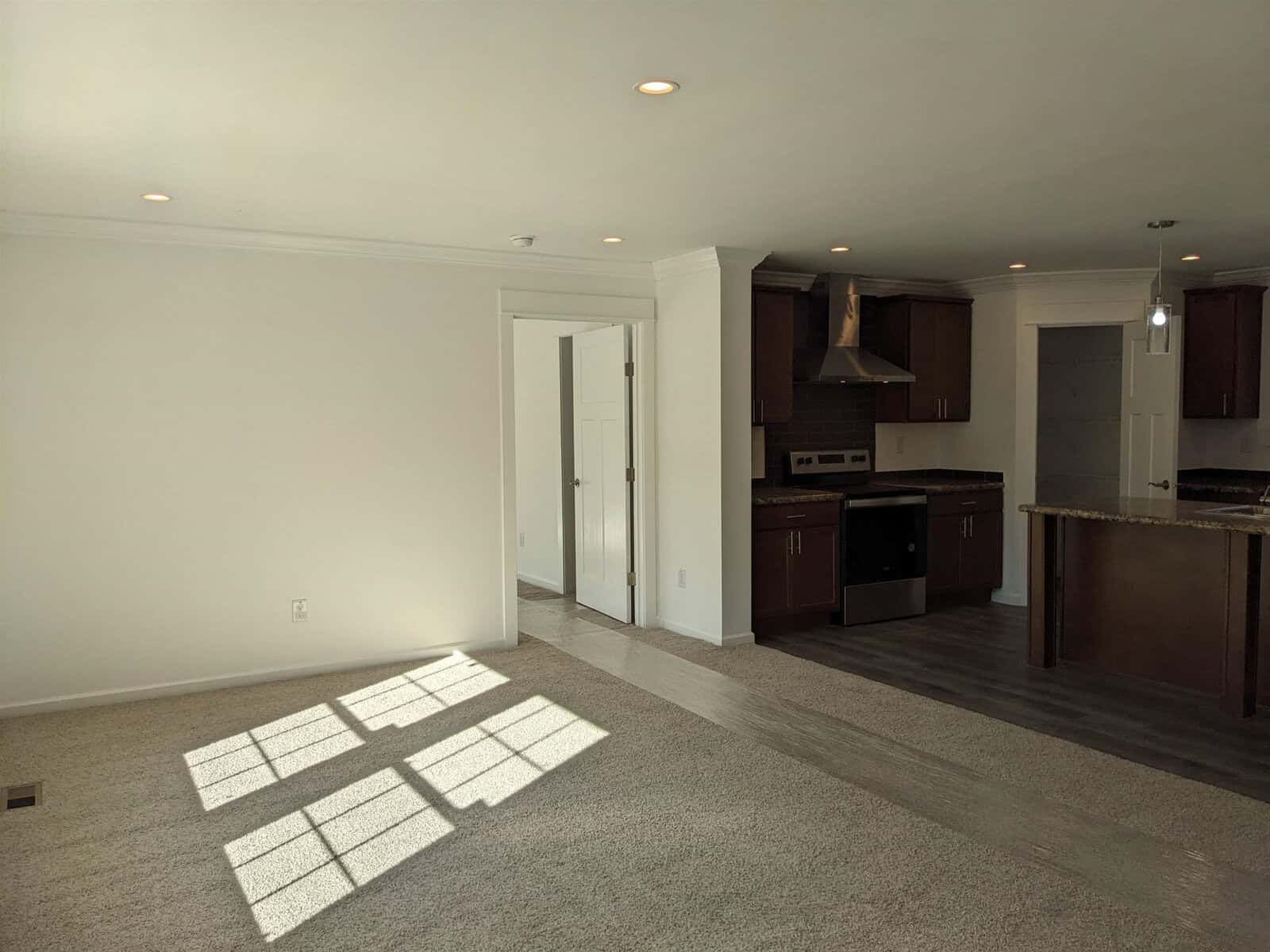 An empty living space with sunlight casting shadows on the carpet, adjacent to a kitchen with dark cabinets and stainless steel appliances.