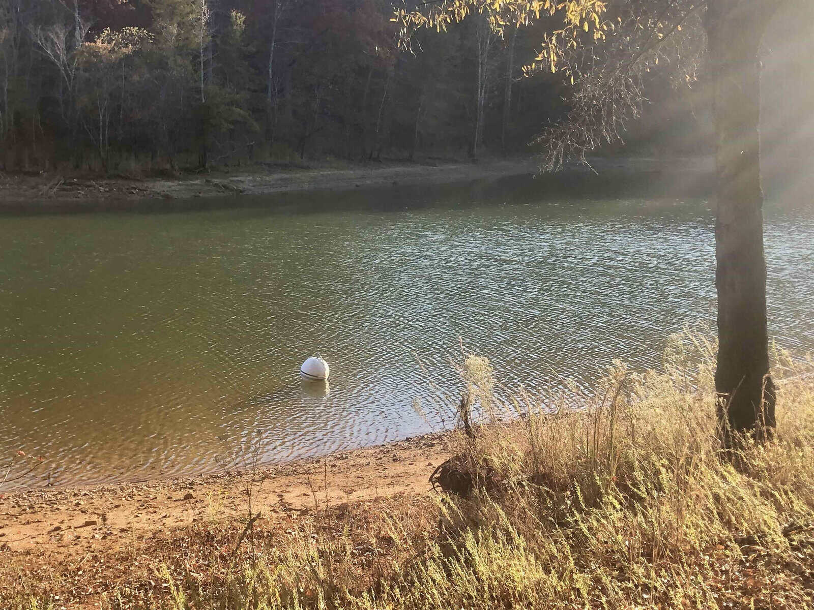 A solitary white buoy floats near the shore of a calm lake surrounded by trees with autumn foliage under a clear sky, with sunlight casting shadows on the ground.