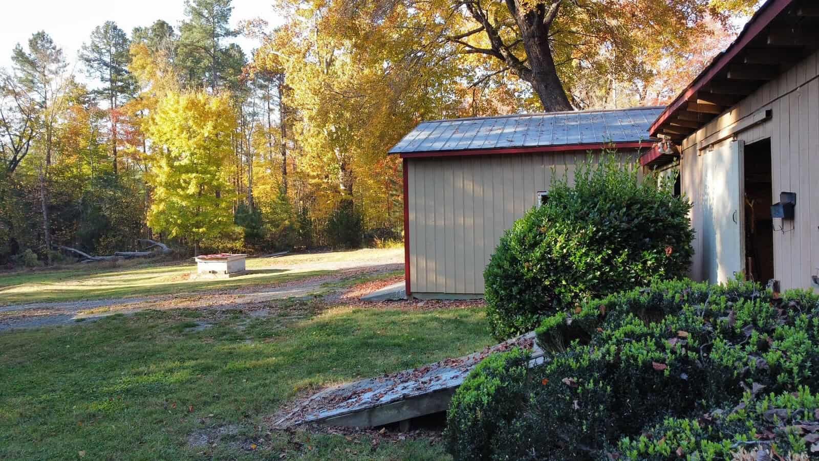 A rustic outdoor setting with a wooden building and lush green bushes in the foreground. A gravel path leads to a small shed in the background, surrounded by colorful autumn trees. The scene is bathed in soft, warm sunlight.
