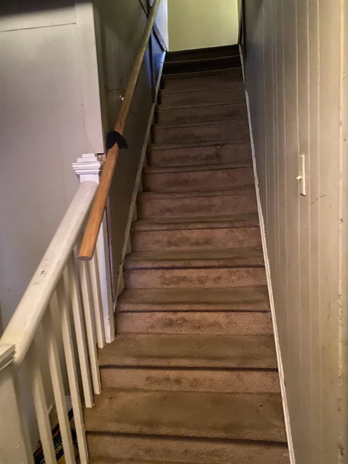 A steep staircase with beige carpeting, bordered by white walls and a wooden handrail on the left side.